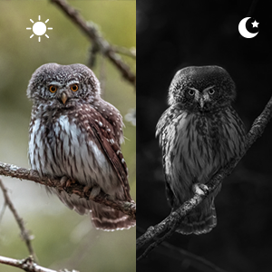 Het Werkingsgebied van de nachtvisie